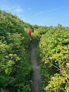 Over a little raised headland